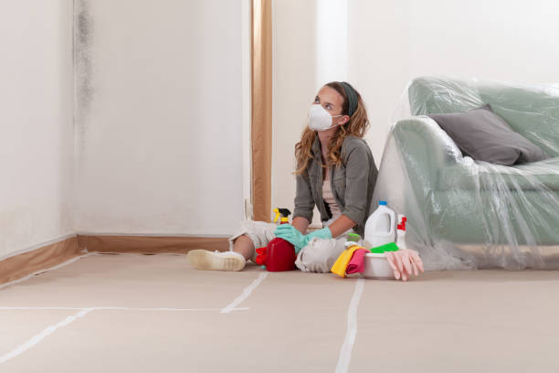 Reliable Mold Remediation contractor in Danvers, IL by Cheap Mold Removal